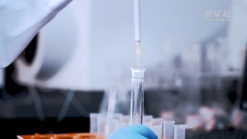 從實驗室到高原鹽湖 解碼“吸附力”創新密碼